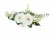 2aacdeae047ee9e108dc6dff17a7b1c2