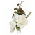 a211ff7bd950e2f34016ee77cd18633a