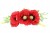 3c917baada569bd805456c18eef3e3a8