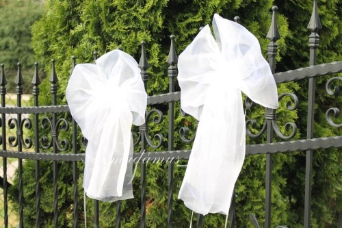 556019c7f9017ba7871a6df9526b1759