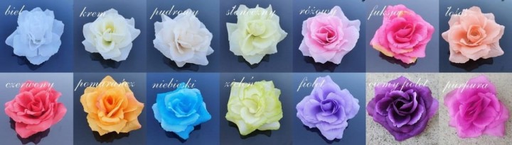 a798883ead3832a0dd0dc14a1848f50a