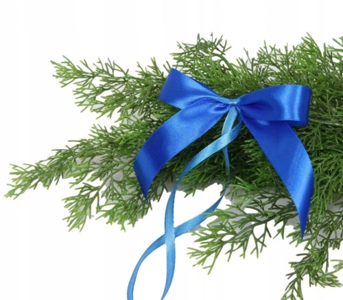 767c6f53fc544d4ea8cf253f025b87b9