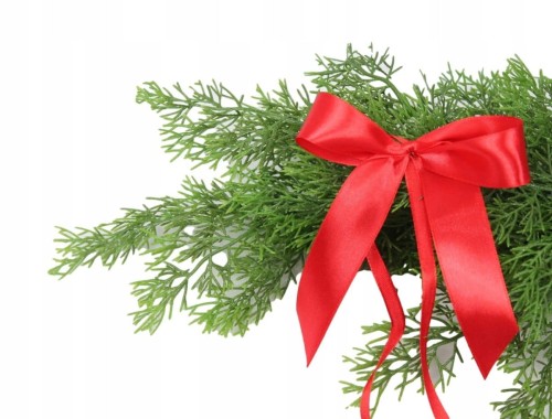 6008ea9cfb54951072b0729005df7746