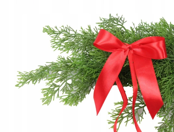 6008ea9cfb54951072b0729005df7746