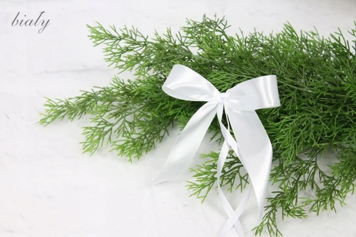 b48cc99b573c9e40568b61a041a41f86