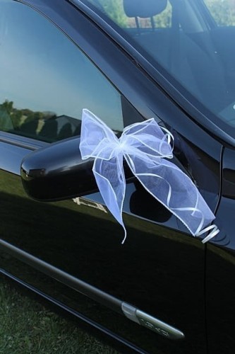 02fa32cb7f23500022fb670c4330237b