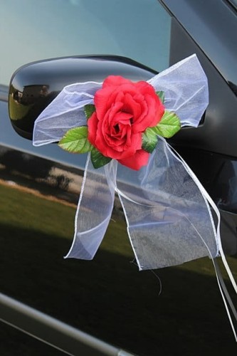 8ab7693a4a2ac33affe1c6b44b8f8259