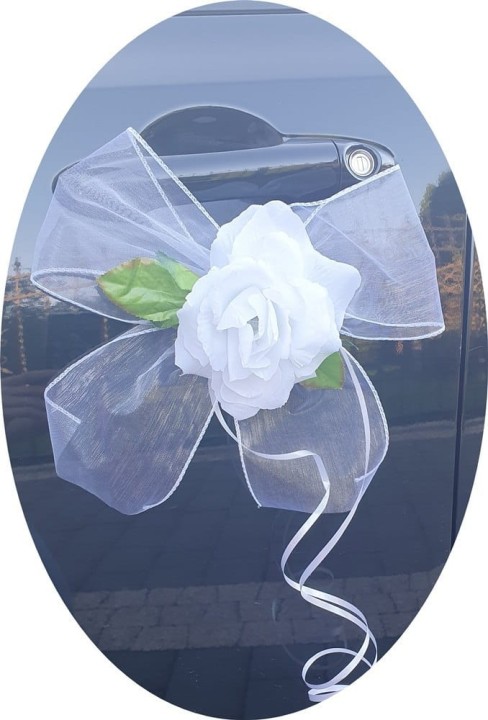 24563893c9c20109494957f9dec72d57