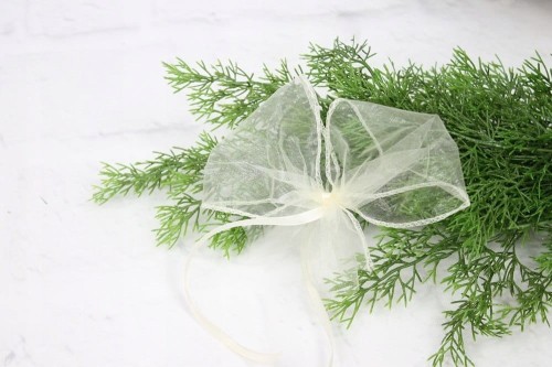 2fffac63d0f0b34f74dc9fdf0a18c7c5