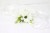 5e6ba82d534f12b7394c0e166c8a751e