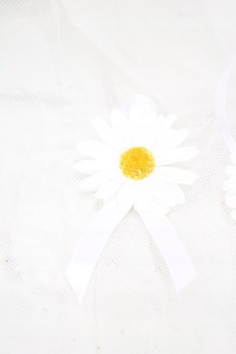 6899a1e9ff086b1cbfdf226c1c0573fb
