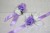 a523e5fb735621da2cd0be49872c113d