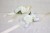 2f3206316eca473d23764c255c3eb485