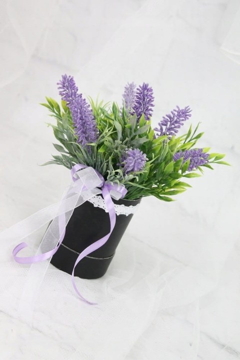 ad06e5170e0913530018a2b3fab09484