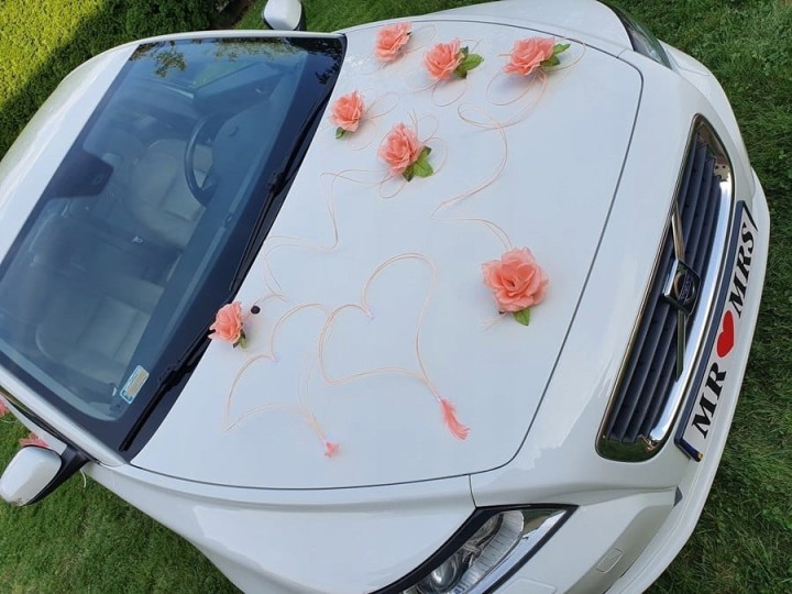 98d7836087d30b2d328b0cd245426021