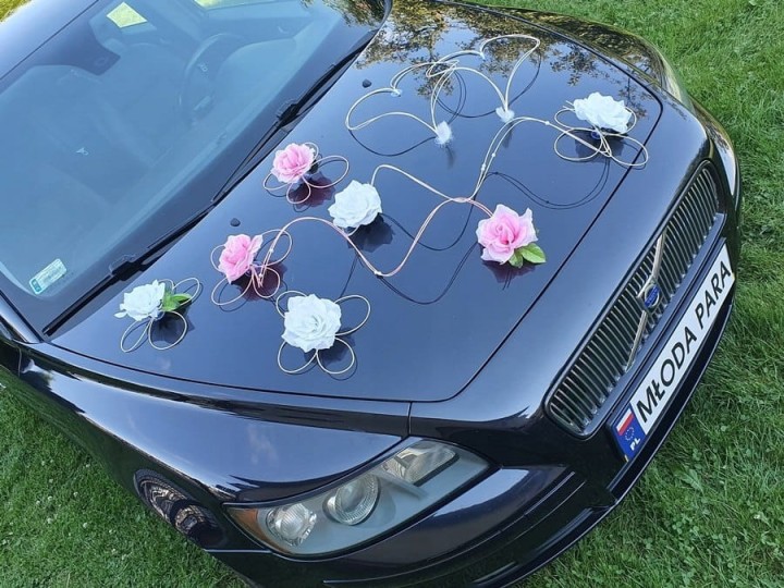 f45e15cdb558284db0b0e1811a32138a