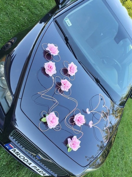 06976c99c99b213594d51c9acd840213