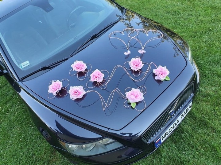 4875864318087a619852912df3bb7d48