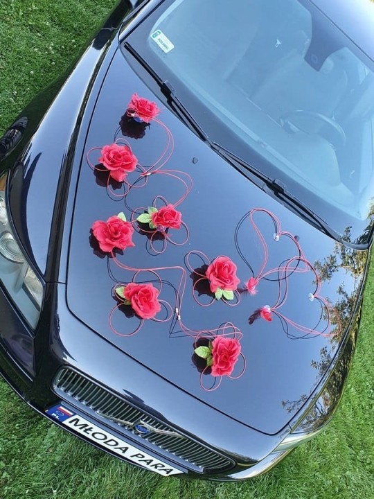 5ee52f004a79337c6b6e4bebc922ef13