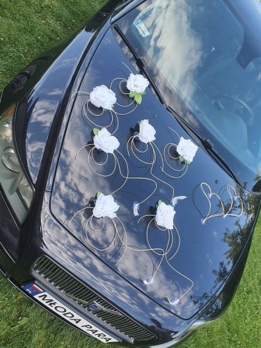 0db07d9d9ed3514907eea18aba5704e1