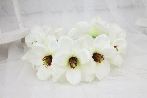 Wianek na głowę DUŻY magnolia KREMOWY sesja ślub Wianek na głowę DUŻY magnolia KREMOWY sesja ślub