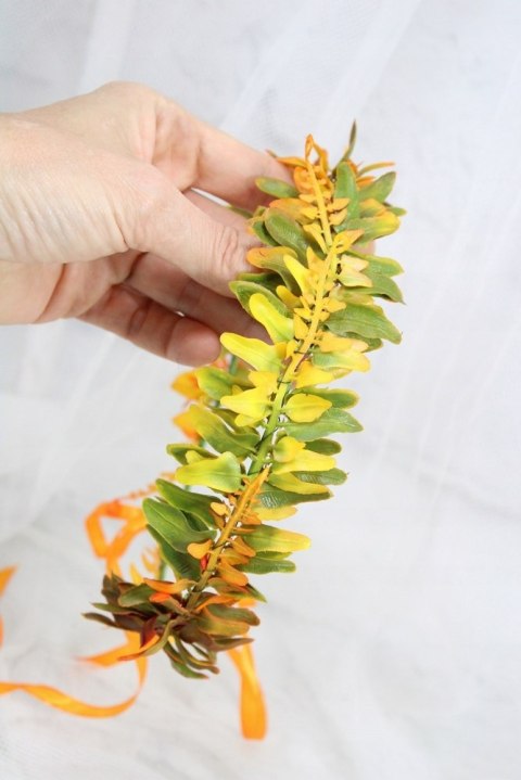 Wianek na głowę jesienny paproć boho sesja do zdjęć